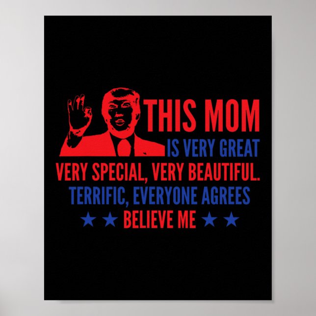 Dag Trump-nuny - val 2024 Poster (Framsidan)