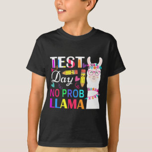 Dag utan Prob Llama Funny Teacher Testing 2 T Shirt
