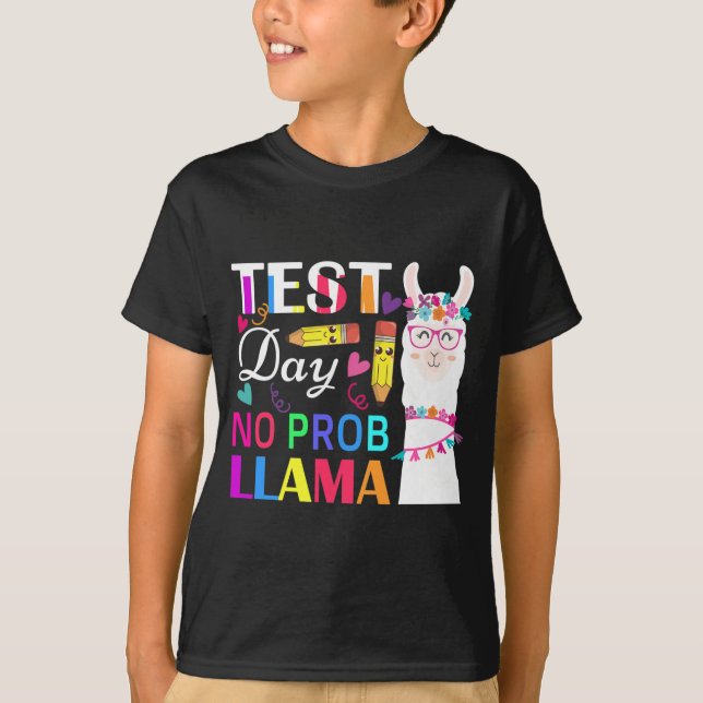 Dag utan Prob Llama Funny Teacher Testing 2 T Shirt (Framsida)