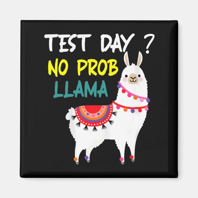 Dag utan prob-llama Llama-lärarprovningsdag för te Magnet (Framsidan)
