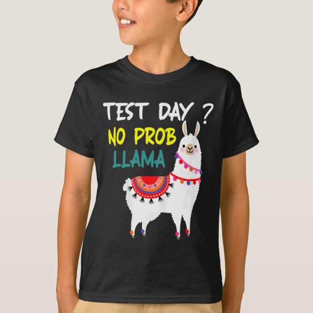 Dag utan prob-llama Llama-lärarprovningsdag för te T Shirt (Framsida)