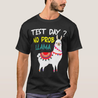 Dag utan prob-llama Llama-lärarprovningsdag för te T Shirt