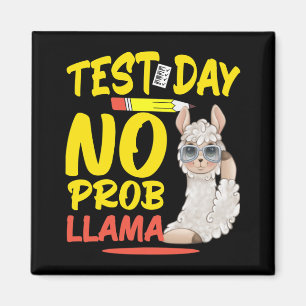 Dag utan Prob-llama Llama Teacher& Student-tes Magnet