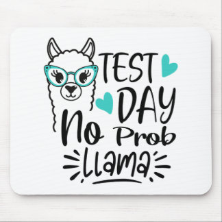 Dag utan Prob-llama Llama Teacher Testdag 2 Musmatta