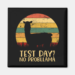 Dag utan Probllama Silhouette Teacher Student Grad Magnet