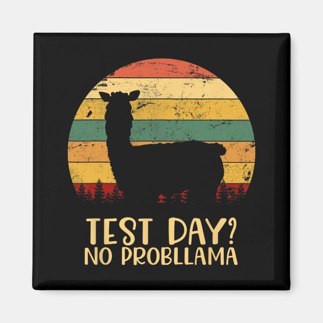 Dag utan Probllama Silhouette Teacher Student Grad Magnet (Framsidan)
