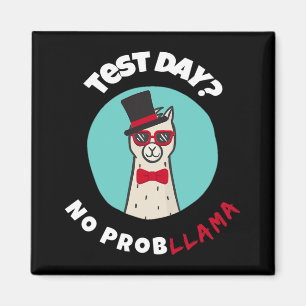 Dag utan probllama-sunt test av Llama-design Magnet