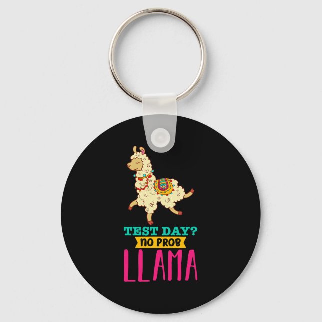 Dag utan Probllama T Shirt Llama Gift School Profe Nyckelring (Framsida)