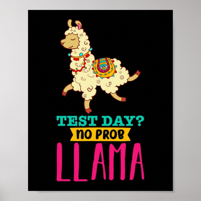 Dag utan Probllama T Shirt Llama Gift School Profe Poster (Framsidan)