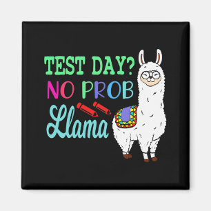 Dag utan testdag för prob-lama, provdag L Magnet