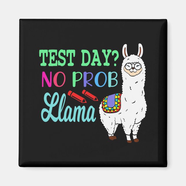 Dag utan testdag för prob-lama, provdag L Magnet (Framsidan)