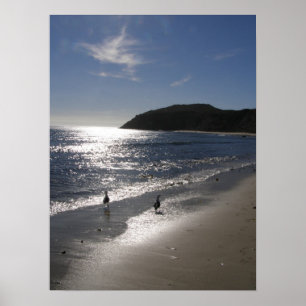 Dag vid stranden poster