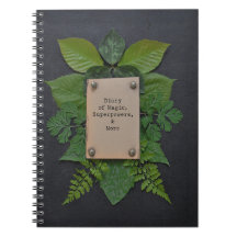 Dagbok av Superpowers