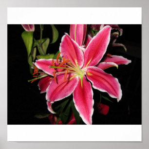 Dagdrömmare Lilly Poster