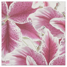 Dagdrömmare Lilly