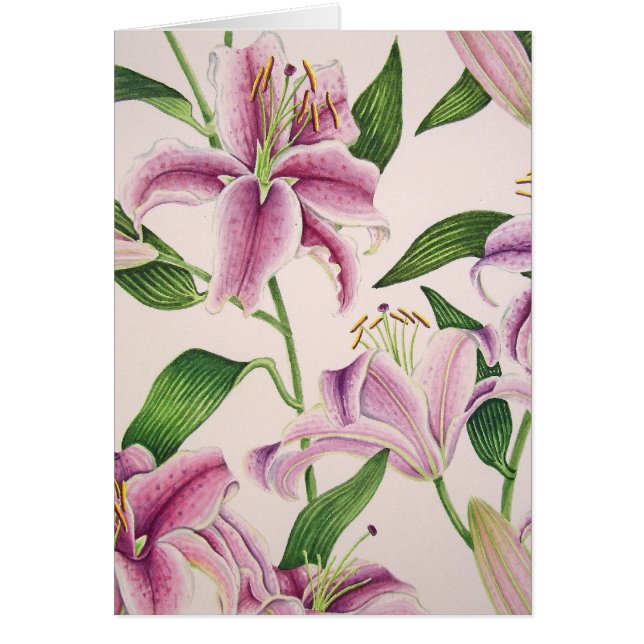 Dagdrömmareliljar Hälsningskort (Framsidan)