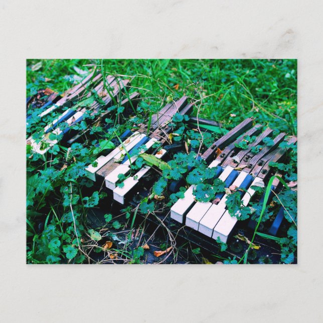 "Dagen då musiken dog" - Piano - Vykort (Framsida)