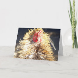 Dagen för dålig hår kort