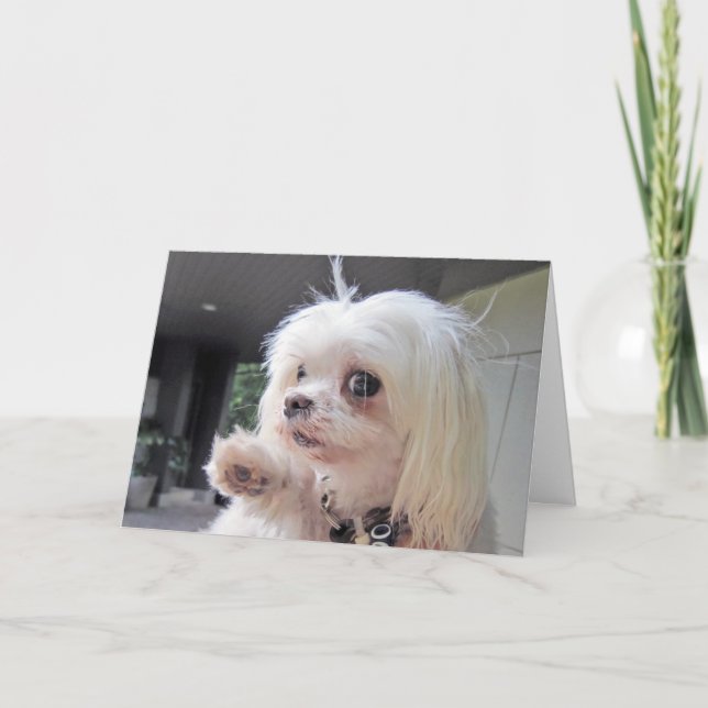 Dagen för dålig hår kort (Framsida)