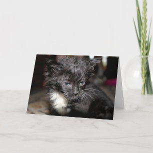 Dagen för dålig hår kort