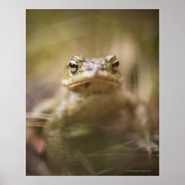 Dagen i dag poster (Framsidan)