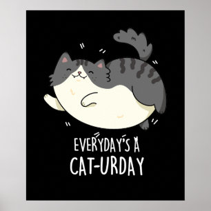 Dagens Cat-urday Funny Cat Pun Poster