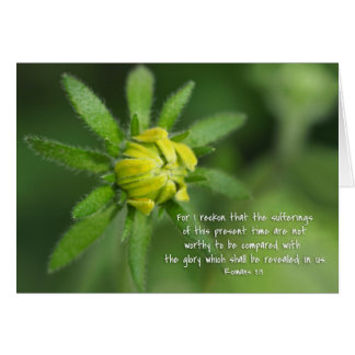 Dagens romer, Daisy 8:18 Gulter Hälsningskort