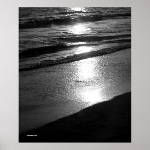 Dagens slut vid Poster av Hund Beach B/W