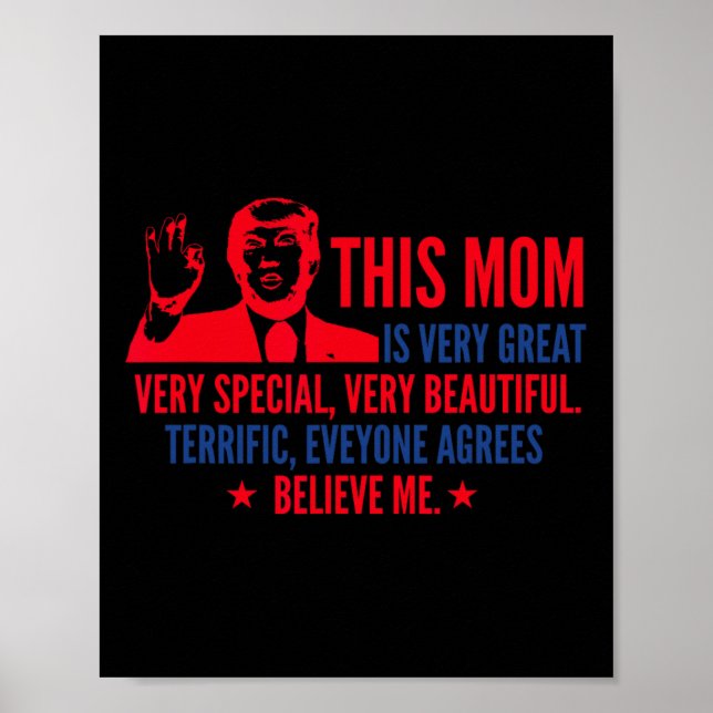 Dagens Trump-funktion - val 2020 Poster (Framsidan)