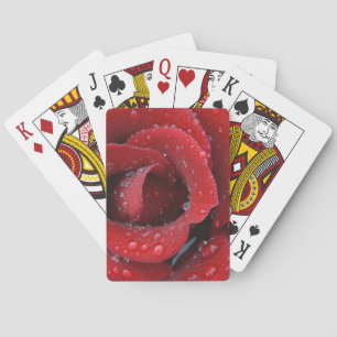 Dagg täckt röd ros dekorerar gravplatsen i casinokort