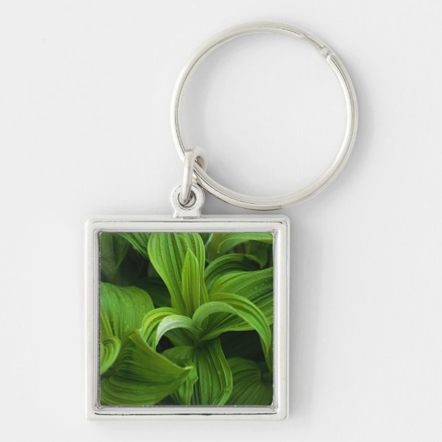 Daggdroppar på en falska Helabore Fyrkantig Silverfärgad Nyckelring (Framsidan)