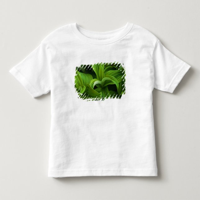 Daggdroppar på en falska Helabore Tee Shirt (Framsida)