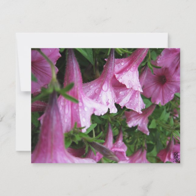 Daggdroppar på rosa blommor anteckningskort (Framsida)
