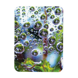 Daggdroppar på spindelnät fantastisk natur magnet