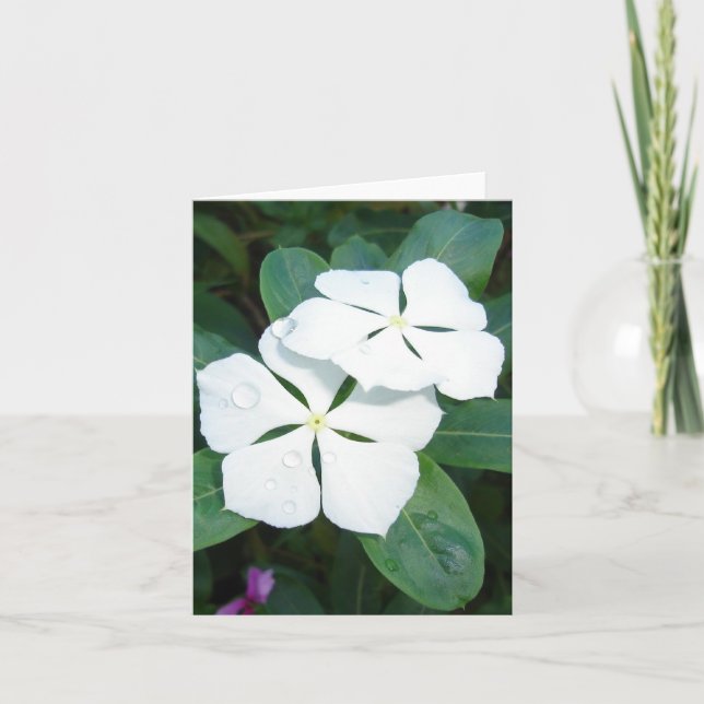 Daggdroppar på vit v2 kort (Framsida)