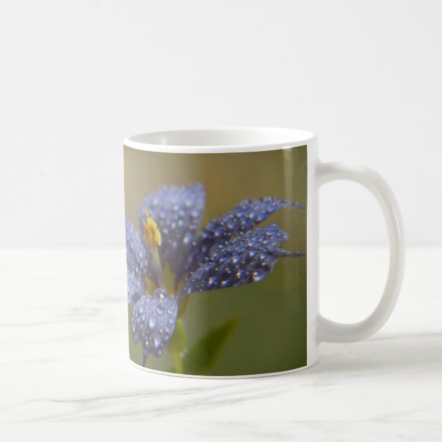 Daggig blåögd kaffemugg (Höger)