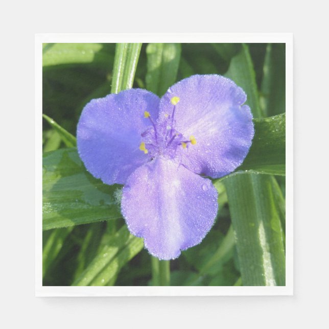 Daggig Trillium Vårvildblomma Pappersservett (Framsidan)