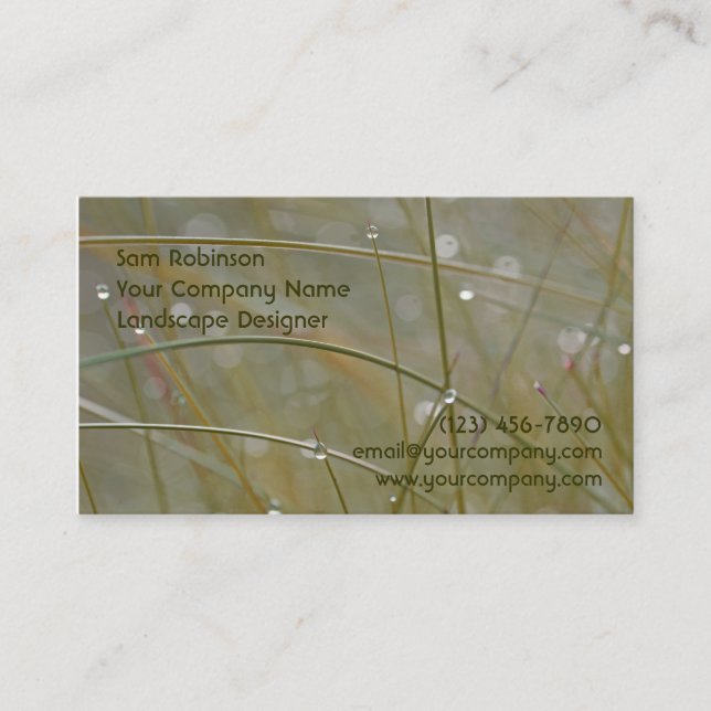 Daggigt gräs landskap eller visitkort (Framsida)