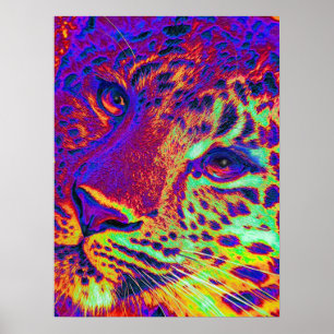 daggleopard poster