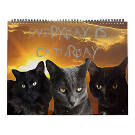 Daglig är den Caturday kalendern Kalender