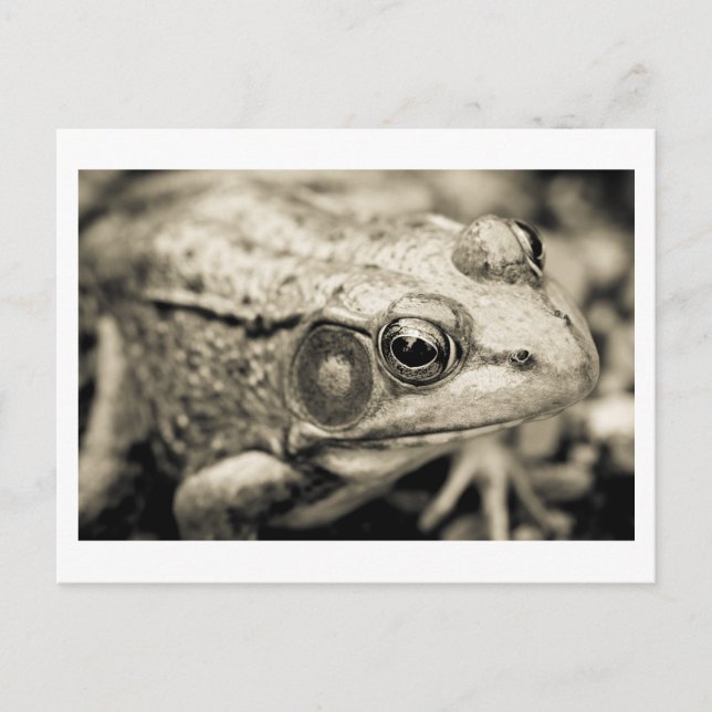 daglig enkel önskan vykort (Framsida)