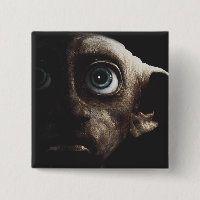 Daglig höjd - Dobby