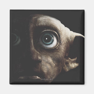 Daglig höjd - Dobby Magnet