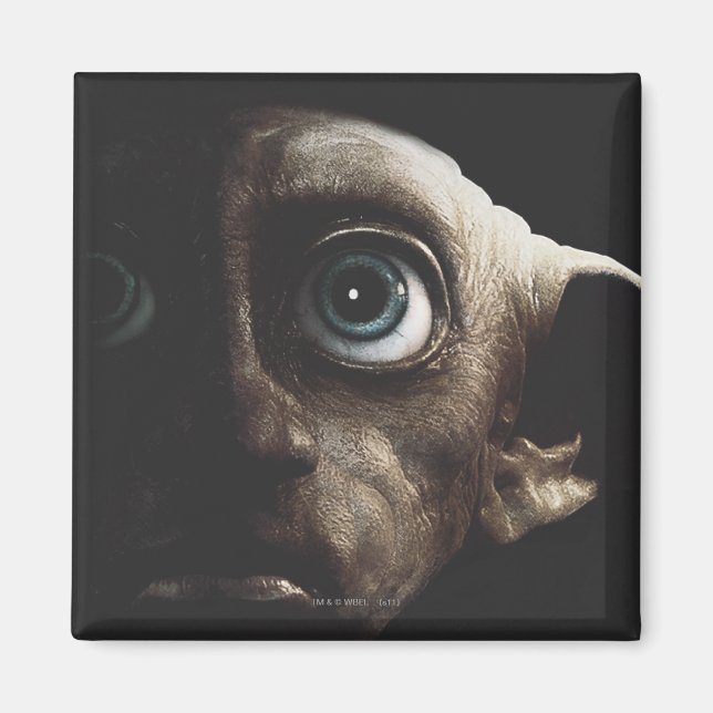 Daglig höjd - Dobby Magnet (Framsidan)