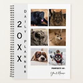 Daglig planering med 10 fotofunktioner - HAMbWG