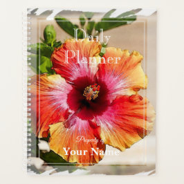 Daglig planering med Hibiscus Design - HAMbWG