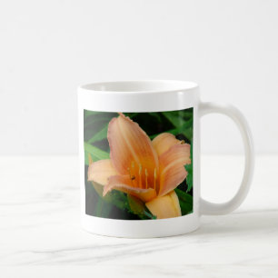 Dagligen 2 kaffemugg