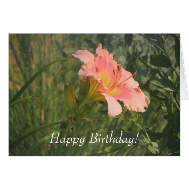 Dagligen i Sol Hälsningskort (Framsidan Horizontal)