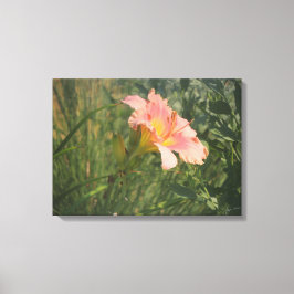 Dagligen i Sol Wrapped Canvas