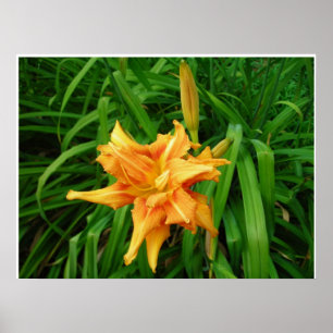 Dagligen: Orange Poster